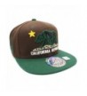 LAFSQ Embroidered California Republic With Bear Claw Scratch Snapback Cap - Brown/Yellow/Green - CE189793ONX