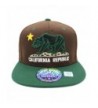 LAFSQ Embroidered California Republic Snapback