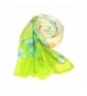 DZT1968Spring Summer Autumn Winter Women Girl Printed Butterfly Long Chiffon Shawl Scarf Pashmina (Green) - C6125I3KZ4V