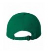 theSTASH Clothing Company Shamrock Patricks in Men's Baseball Caps